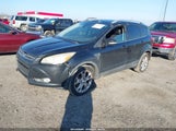 Ford Escape Titanium 1FMCU0J99EUA86791 снимка