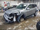 Miniaturka zdjęcia 2