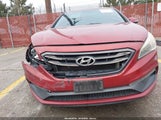 Hyundai Sonata Sport 5NPE34AF0GH325882 photo