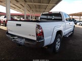 Toyota Tacoma Base V6 5TFUU4EN3BX005981 снимка