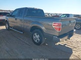 Ford F-150 Xlt 1FTEX1CM7BFD11365 снимка