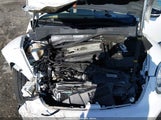 Volkswagen Beetle 2.0T 3VW7A7AT0DM811178 снимка