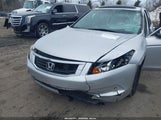 Honda Accord 2.4 Lx JHMCP26329C016815 снимка