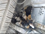 Honda Accord Lx 1HGCR2F36DA207171 снимка