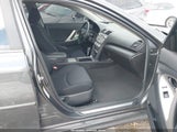 Miniaturka zdjęcia 5