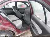 Nissan Maxima Gle/Gxe/Se JN1CA21D9TT102636 photo