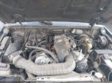 Miniaturka zdjęcia 10