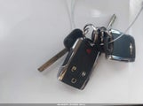 Miniaturka zdjęcia 11