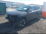 Jeep Compass Trailhawk 4X4 3C4NJDDB7JT450836 снимка