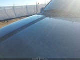 Ford F-150 Xlt 1FTEW1EB3KKD74520 снимка