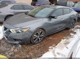 Nissan Maxima 3.5 Sl 1N4AA6AP9HC419044 снимка