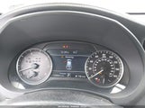 Miniaturka zdjęcia 7