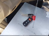 Miniaturka zdjęcia 11