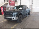 Ford F-150 Fx4/Harley-Davidson/King Ranch/Lariat/Platinum/Xl/Xlt 1FTFW1EV7AFB68381 photo