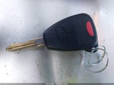 Miniaturka zdjęcia 11