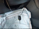 Miniaturka zdjęcia 11