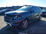Mercedes-Benz Ml 350 4JGDA5JB7FA507293 снимка