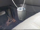 Miniaturka zdjęcia 11