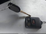 Miniaturka zdjęcia 11