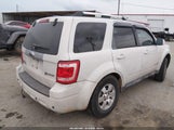 Ford Escape Hybrid Limited 1FMCU49319KA25038 fotografie