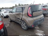 Miniaturka zdjęcia 3