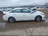 Hyundai Sonata Sport 5NPE34AF8GH314208 снимка