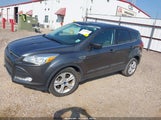 Miniaturka zdjęcia 2