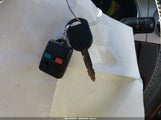 Miniaturka zdjęcia 11