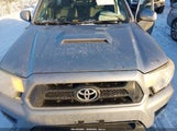 Toyota Tacoma Base V6 5TFUU4EN3EX103543 снимка