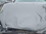 Ford Taurus Sel 1FAFP56S94A216219 fotografie