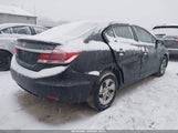 Honda Civic Lx 19XFB2F55EE032573 снимка