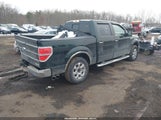 Ford F-150 Xlt 1FTFW1EF7EKG17287 снимка