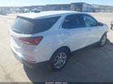 Chevrolet Equinox Awd Lt 3GNAXUEG5RS249081 fotografie