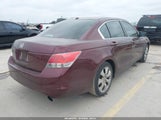 Honda Accord 2.4 Ex-L 1HGCP2F86AA033857 снимка