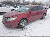Nissan Altima 2.5/2.5 S/2.5 Sl/2.5 Sr/2.5 Sv 1N4AL3AP4GC166416 photo