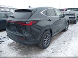Lexus Nx 250 JTJADCEZ4N5000222 снимка