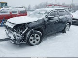 Toyota Rav4 Xle JTMP1RFV0KD017461 снимка
