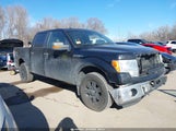 Ford F-150 Fx4/King Ranch/Lariat/Platinum/Xl/Xlt 1FTPW14V49KC54658 photo