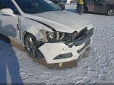 Miniaturka zdjęcia 6