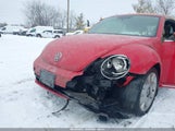 Volkswagen Beetle 2.5L 3VW5P7AT1DM818744 снимка