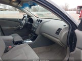 Miniaturka zdjęcia 5