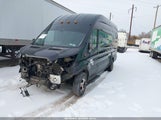 Miniaturka zdjęcia 2