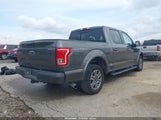 Ford F-150 Xlt 1FTEW1CP4FKE80625 снимка