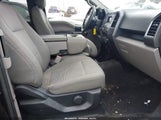 Miniaturka zdjęcia 5
