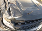 Chevrolet Colorado 4Wd Short Box Zr2 1GCPTEE10N1137901 снимка