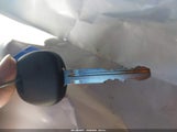 Miniaturka zdjęcia 11
