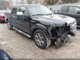 Ford F-150 Fx4/King Ranch/Lariat/Platinum/Xl/Xlt 1FTPW14V99FA29550 photo