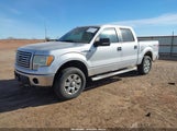 Ford F-150 Fx4/Harley-Davidson/King Ranch/Lariat/Platinum/Xl/Xlt 1FTFW1EV6AFD42778 fotografie