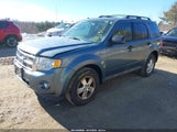 Ford Escape Xlt 1FMCU9DG4CKA54435 снимка