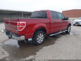 Ford F-150 Xlt 1FTFW1CF9EKD03224 снимка